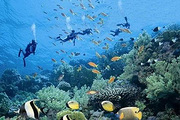 越南Fisherman’s Bay潜水点